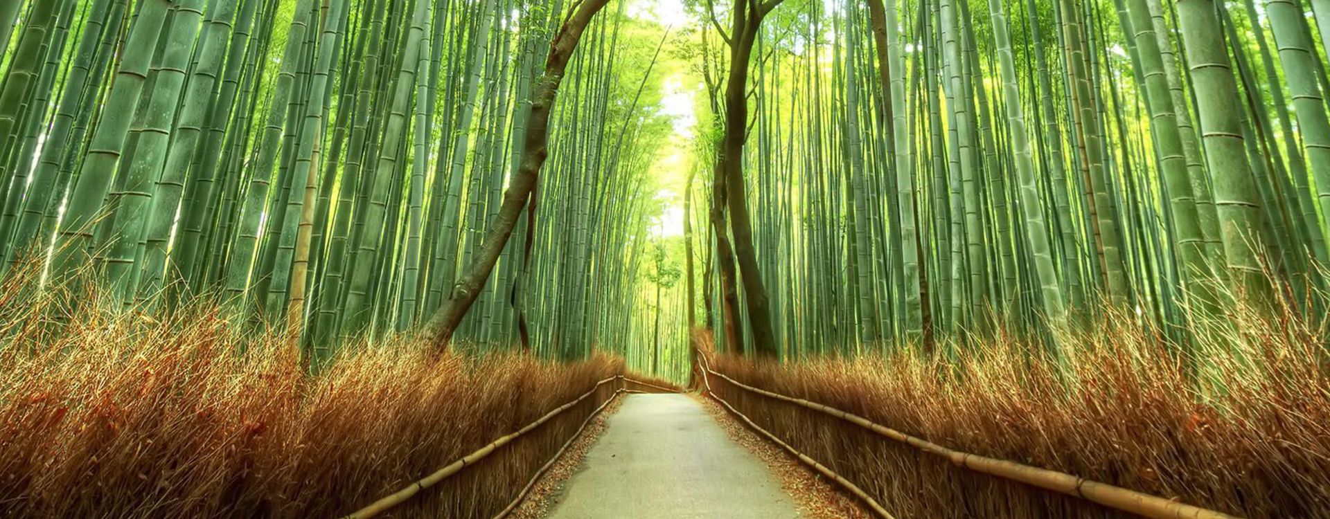 Kyoto_Arashiyama