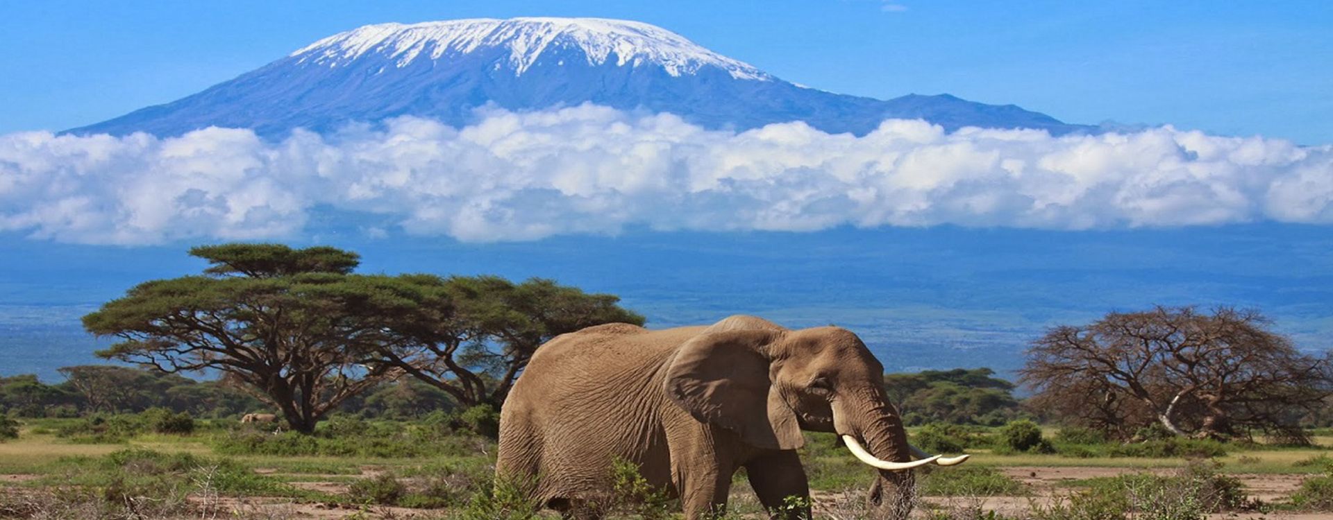 Africa_Tanzania_Kilimanjaro