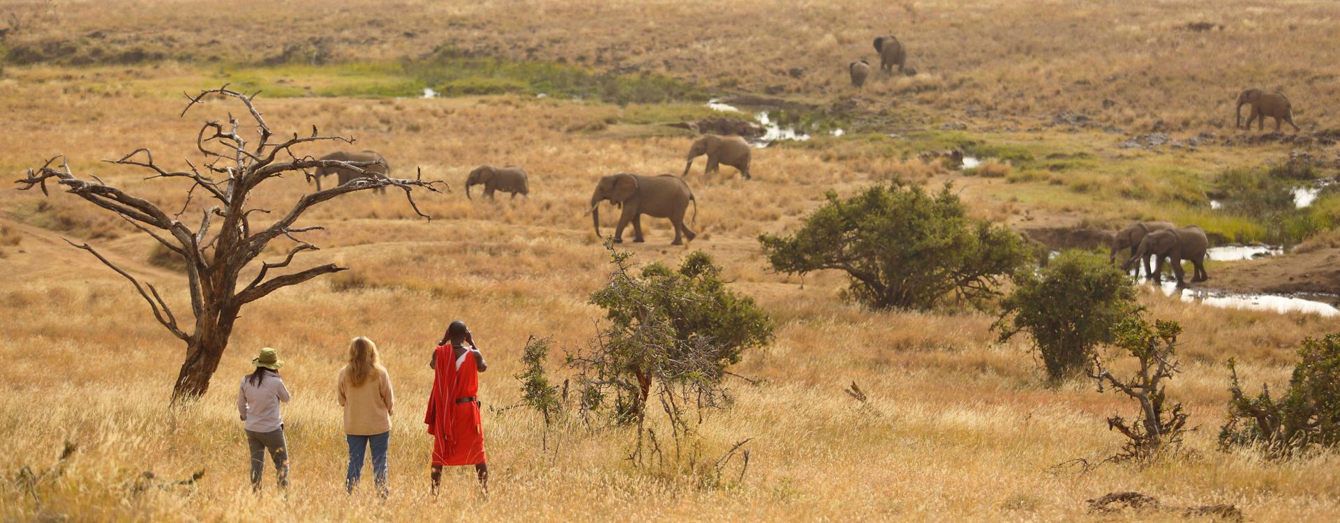 Offbeat-Mara-Camp_Exterior-Safari