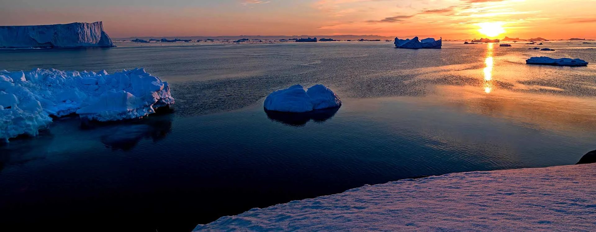 Last Minute Offer Antarctica Cruises 2024/2025