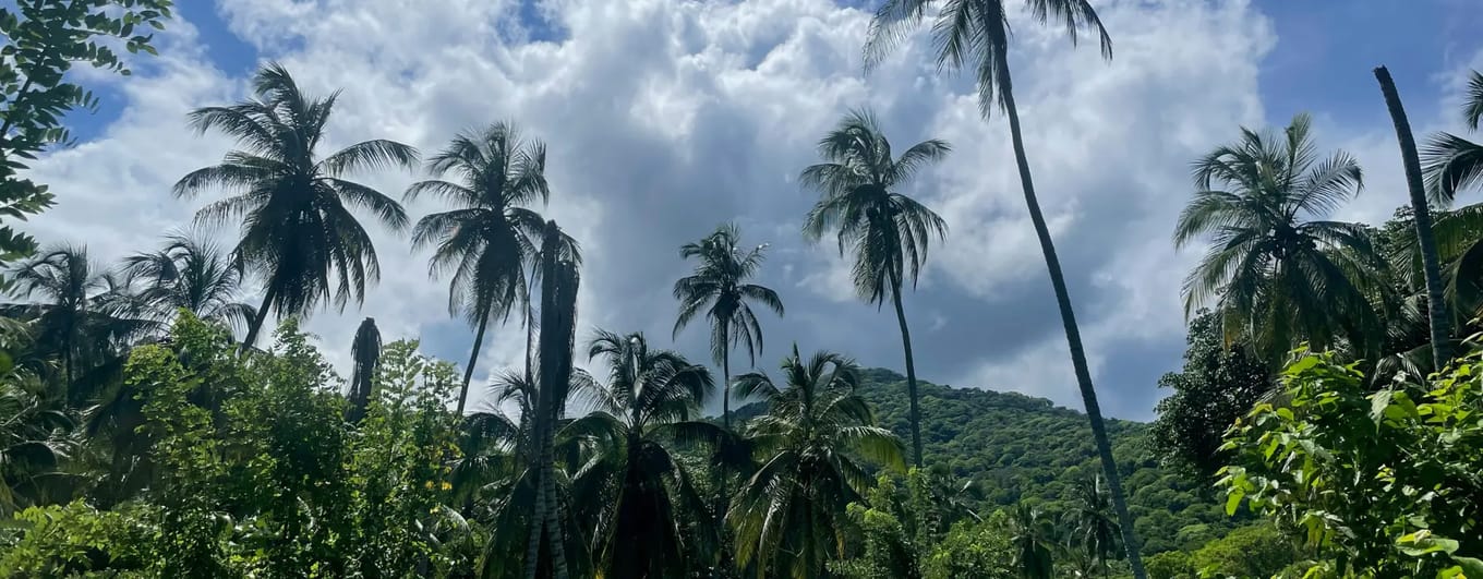 Jungle landscape in Colombia's Tayrona National Park