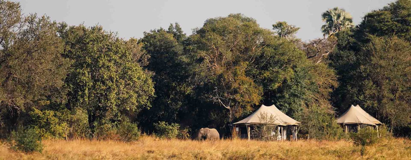 Musekese Camp exterior with seen elephant