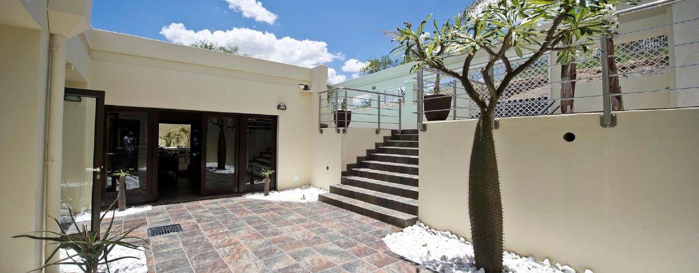 Outside terrace at Galton House with steps and palm tree