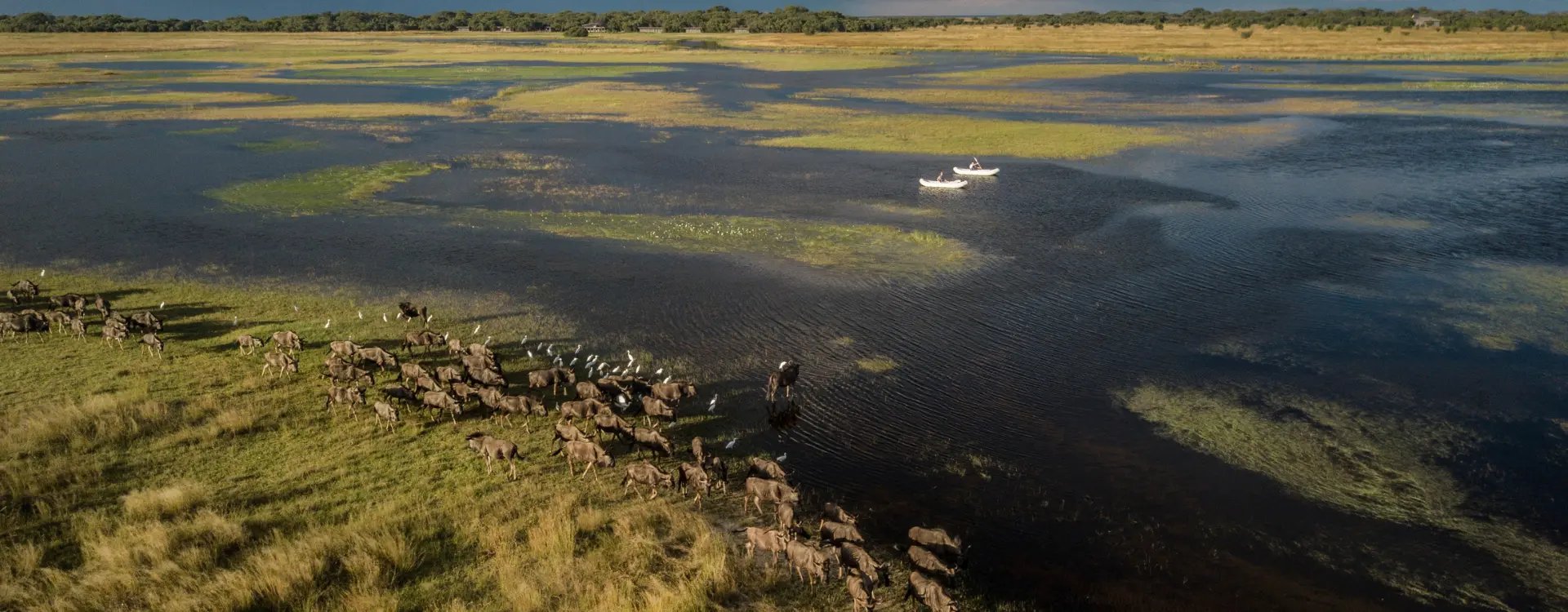 Aerial view of Lower zambezi and wildlife