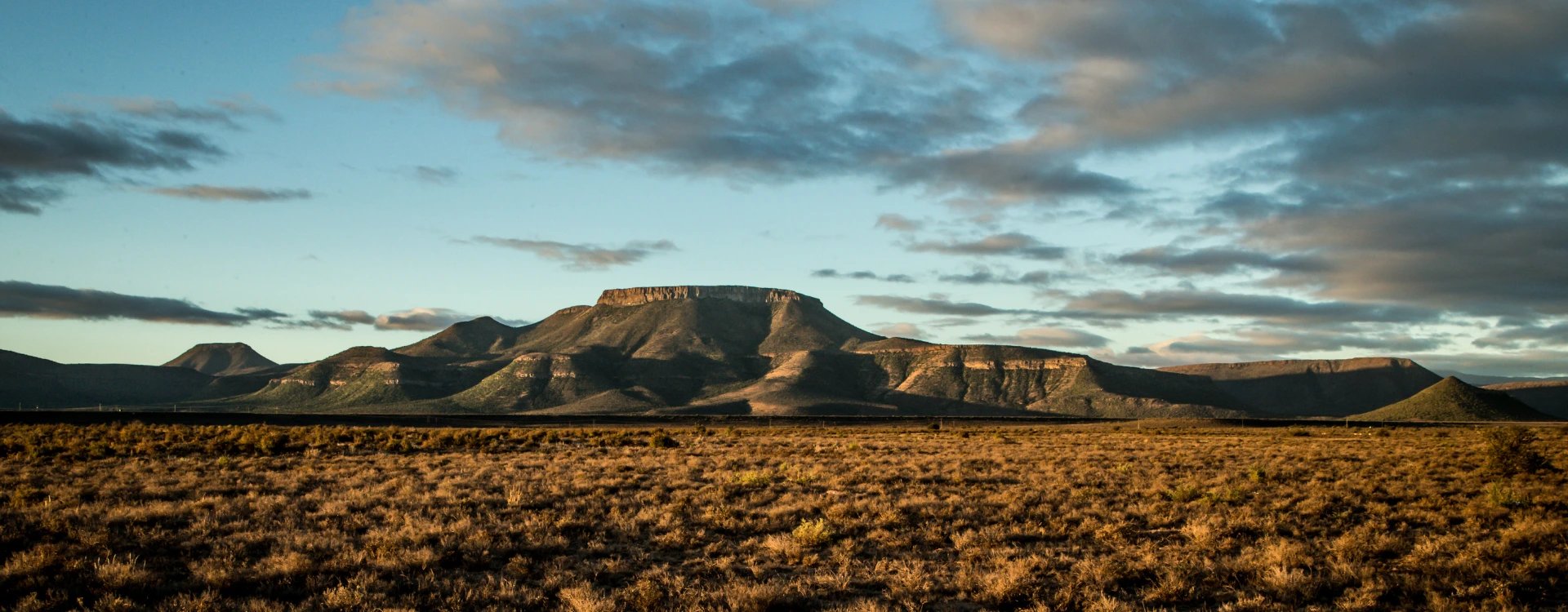 Grass plains with mountain in the background in South Africa