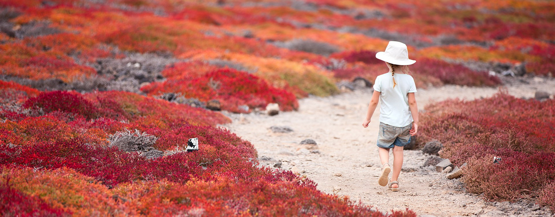 Little girl at scenic terrain on Galapagos South Plaza island