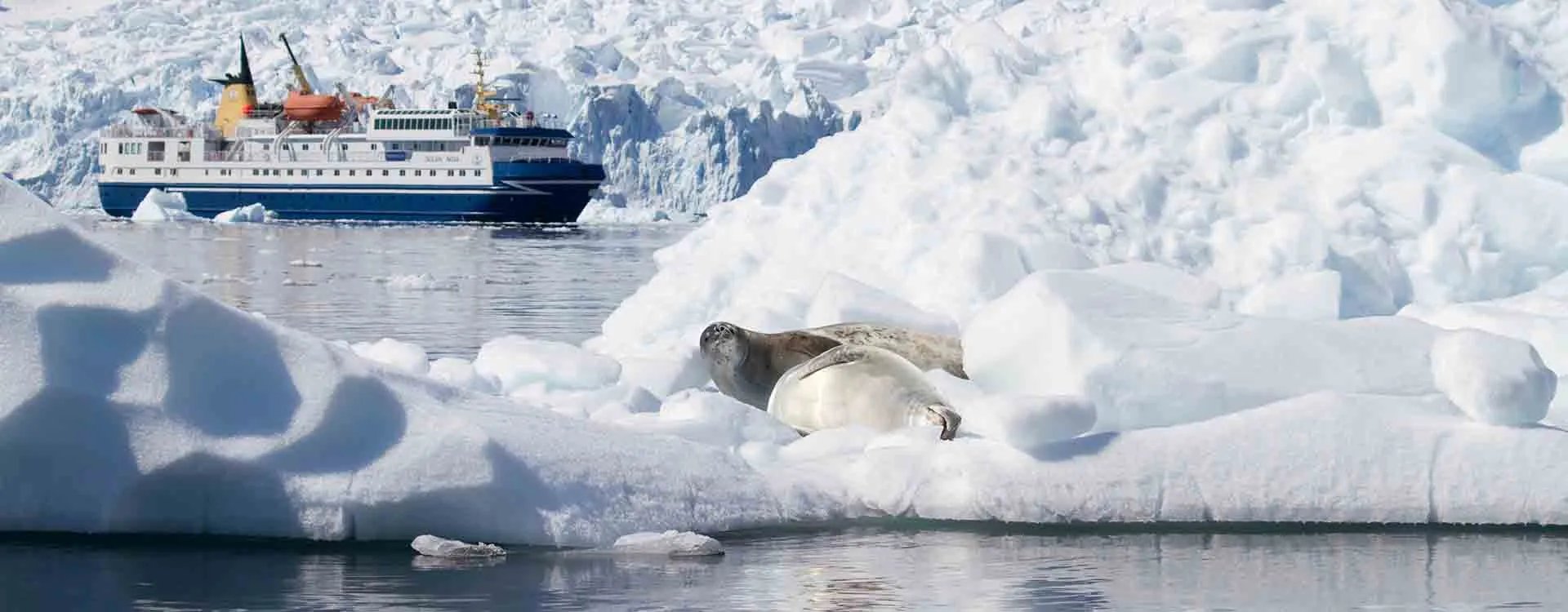 Ocean Nova sailing in Antarctica