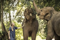 Anantara Golden Triangle Elephant Camp & Resort