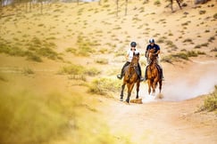 The Ritz-Carlton Ras Al Khaimah, Al Wadi Desert