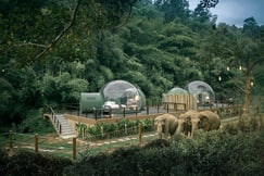 Anantara Golden Triangle Elephant Camp & Resort