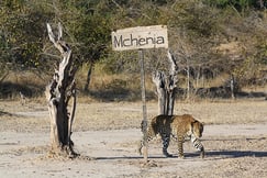 Mchenja Bush Camp