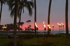 Fairmont Orchid