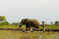 African Horseback Safaris