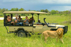 African Horseback Safaris