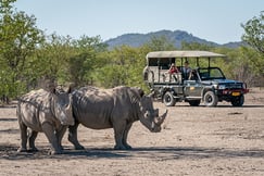 Anderssons Camp Ongava