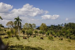 ÀNI Dominican Republic