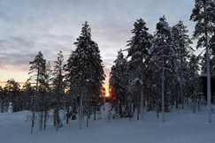 Arctic Treehouse Hotel