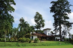 Hacienda Bambusa