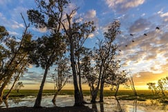 Bamurru Plains