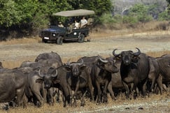 Zungulila Bushcamp