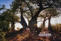 Belmond Savute Elephant Camp