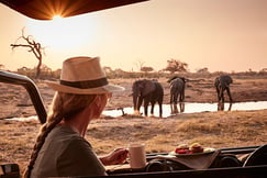 Belmond Savute Elephant Camp