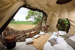 View from inside of the bird nest