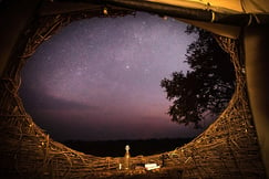 Night sky view from inside the bird nest