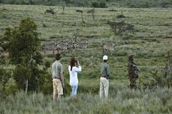 Borana Lodge