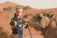 Sahara Desert Camp