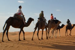 Sahara Desert Camp