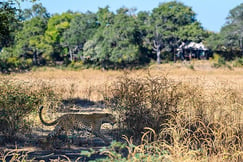 Chindeni Bushcamp