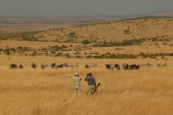 Cottars 1920s Safari Camp