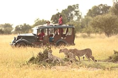 Cottars 1920s Safari Camp