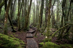 Cradle Mountain Lodge