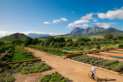 Babylonstoren