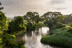 Singita Faru Faru Lodge