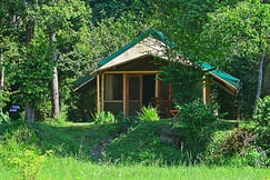 Ishasha Wilderness Camp