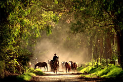 Hacienda Zuleta