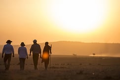 Elephant Pepper Camp