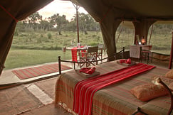 Elephant Pepper Camp