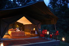 Elephant Pepper Camp