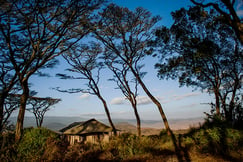 Entamanu Ngorongoro