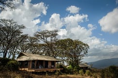 Entamanu Ngorongoro