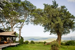 Entamanu Ngorongoro