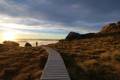 Fiordland Lodge