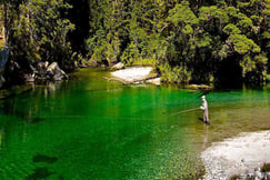 Fiordland Lodge