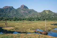 River with mountains in distance in Gal Oya national park