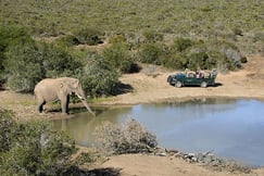 Game drives provided by Kwandwe Great Fish River Lodge, South Africa