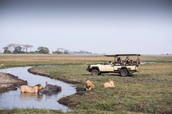 Game drives at Chisa Busanga